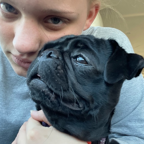 Meet your Posher, Kimberly - Picture 7 of 10